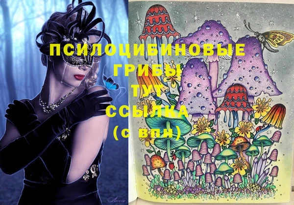 сатива Бугульма
