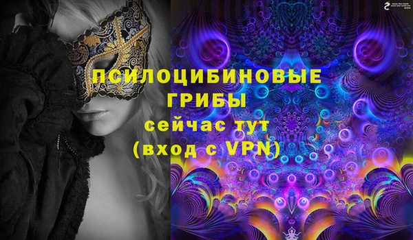 сатива Бугульма