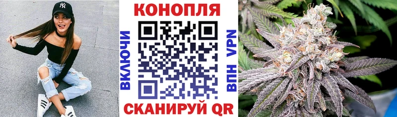 как найти закладки  Сызрань  OMG рабочий сайт  Каннабис планчик 